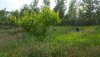 20180612_185318.jpg
