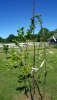 20180613_093801.jpg