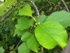 IMG_20180612_181757670.jpg