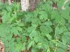 IMG_20180615_103549520.jpg