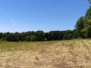 IMG_20180616_133819954.jpg