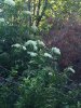 5AD4E64B-6CAA-4AC8-9408-A58BB50BD4EC.jpeg