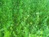 IMG_20180614_200651789.jpg