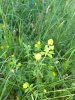 IMG_20180614_200508996.jpg