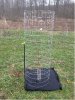 caged tree.jpg