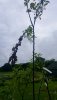 20180618_082535.jpg