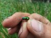 20180618_170812.jpg