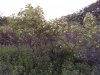 IMG_20180621_204059071.jpg