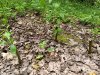 IMG_20180622_130111949.jpg