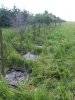 20180701_154142.jpg