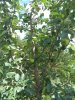 20180701_131700.jpg