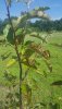 20170703_092658.jpg