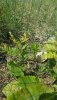 20180703_143523.jpg