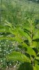 20180703_143328.jpg