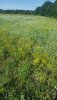 20180703_080715.jpg