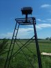 20180708_121331.jpg