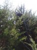 20180708_122945.jpg