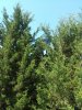 20180708_123032.jpg