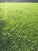 0F521BAB-5D1C-4120-8227-99F4B09F7CA5.jpeg