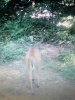 5DEAE3E1-941F-4CA6-AD32-0765791B4573.jpeg