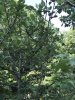 8AF82B87-2E22-4D21-98AE-6B2941D3810A.jpeg