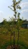 20180723_151723.jpg