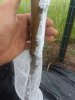 20180721_090030.jpg
