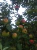 20180721_071353.jpg