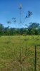 20180730_084602.jpg