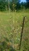 20180730_084729.jpg