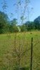 20180730_084644.jpg