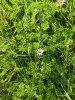 20180802_190221.jpg