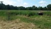 20180729_120853.jpg 20180729_120853.jpg