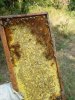 20180810_170351.jpg