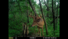 D816136E-E6FB-40A8-8EF9-837A800A1034.png