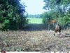 FB_IMG_1534128063134.jpg