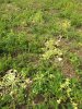 IMG_20180815_162346127.jpg