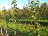 DSCN2489.JPG