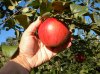 DSCN2460.JPG