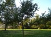DSCN2484.JPG