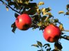 DSCN2449.JPG