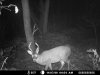 Outback 08 427.jpg