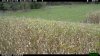 2014-10-04 18-30-00 T.JPG