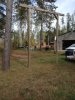 tree.JPG tree.JPG