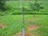 DSCN0954.JPG