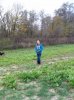 Emma seeding rye Oct 25 2014.jpg