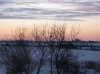 IMG_7792 2.jpg