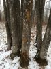 IMG_2115.JPG