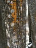 IMG_2116.JPG