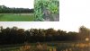 foodplots.jpg